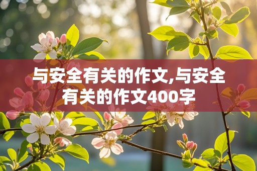 与安全有关的作文,与安全有关的作文400字