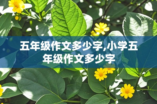 五年级作文多少字,小学五年级作文多少字