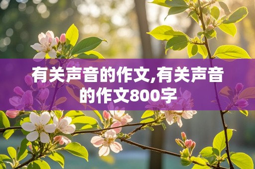 有关声音的作文,有关声音的作文800字