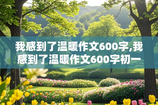 我感到了温暖作文600字,我感到了温暖作文600字初一