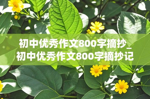 初中优秀作文800字摘抄_初中优秀作文800字摘抄记叙文范文