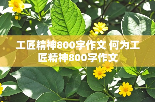 工匠精神800字作文 何为工匠精神800字作文