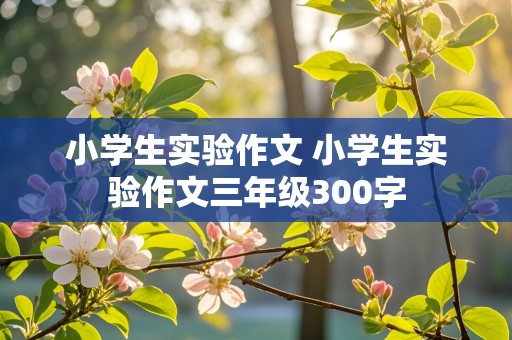 小学生实验作文 小学生实验作文三年级300字