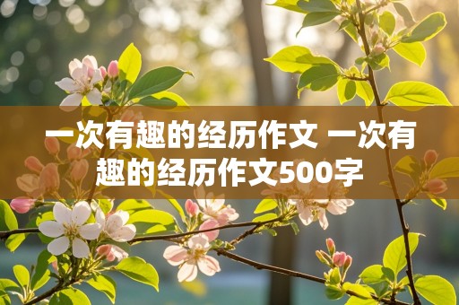 一次有趣的经历作文 一次有趣的经历作文500字