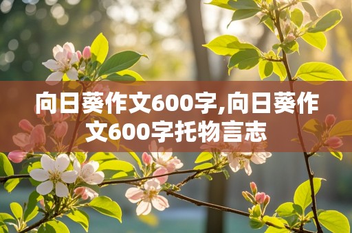 向日葵作文600字,向日葵作文600字托物言志