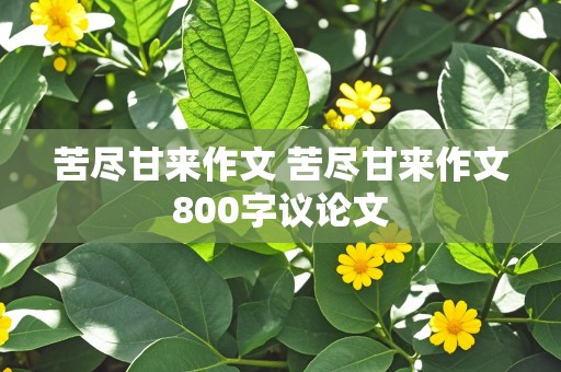 苦尽甘来作文 苦尽甘来作文800字议论文