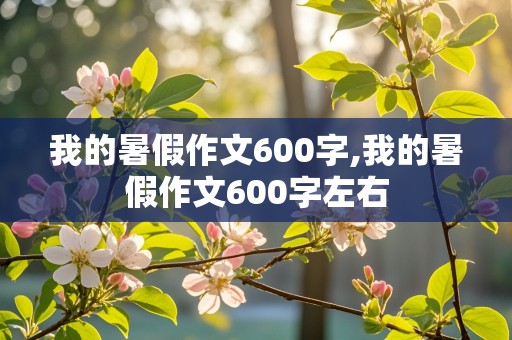 我的暑假作文600字,我的暑假作文600字左右