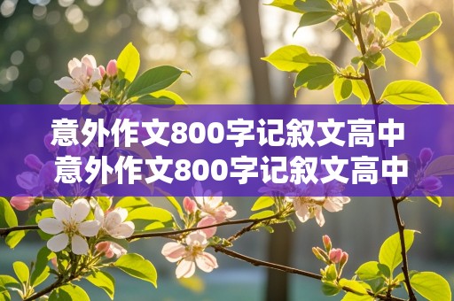 意外作文800字记叙文高中 意外作文800字记叙文高中生