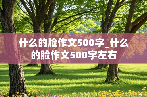 什么的脸作文500字_什么的脸作文500字左右