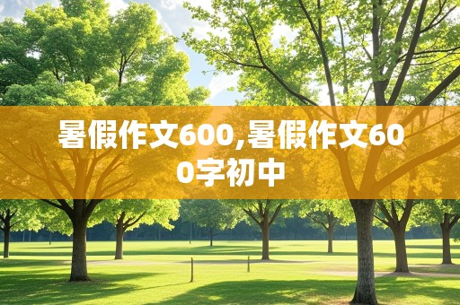 暑假作文600,暑假作文600字初中