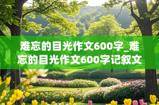 难忘的目光作文600字_难忘的目光作文600字记叙文