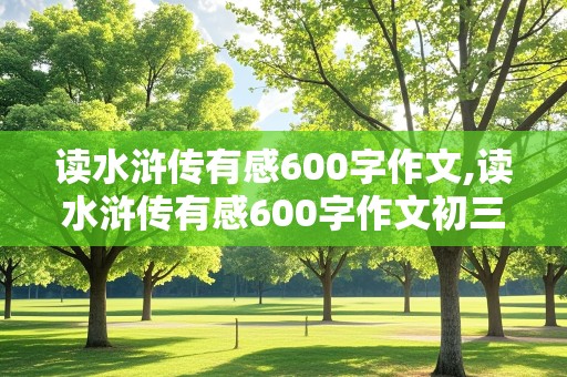 读水浒传有感600字作文,读水浒传有感600字作文初三