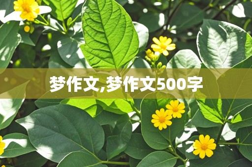 梦作文,梦作文500字