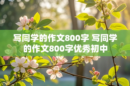 写同学的作文800字 写同学的作文800字优秀初中