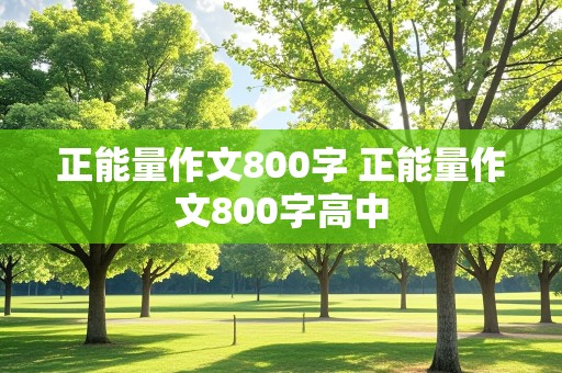 正能量作文800字 正能量作文800字高中