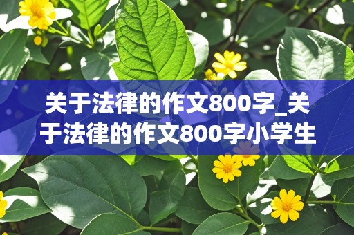 关于法律的作文800字_关于法律的作文800字小学生