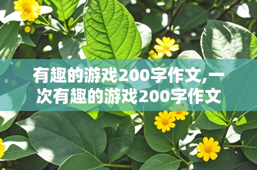 有趣的游戏200字作文,一次有趣的游戏200字作文