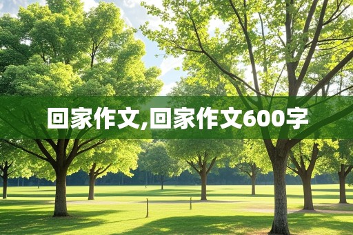 回家作文,回家作文600字