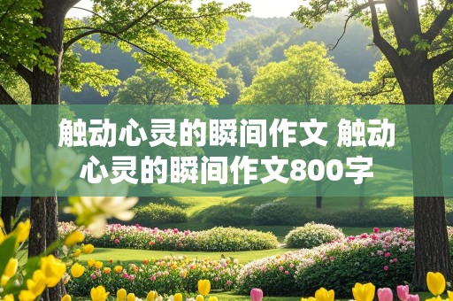 触动心灵的瞬间作文 触动心灵的瞬间作文800字