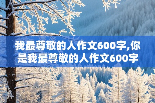 我最尊敬的人作文600字,你是我最尊敬的人作文600字