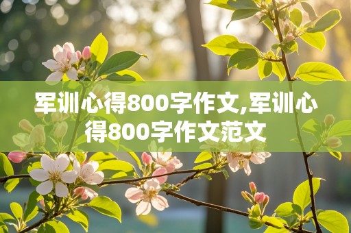 军训心得800字作文,军训心得800字作文范文