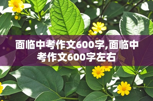 面临中考作文600字,面临中考作文600字左右