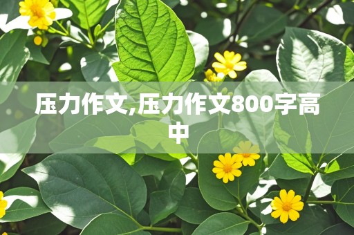 压力作文,压力作文800字高中