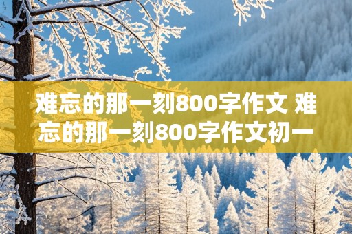 难忘的那一刻800字作文 难忘的那一刻800字作文初一