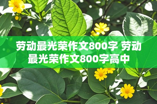 劳动最光荣作文800字 劳动最光荣作文800字高中