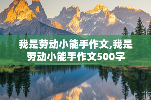 我是劳动小能手作文,我是劳动小能手作文500字