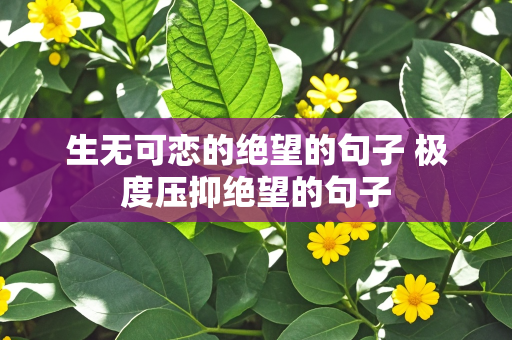 生无可恋的绝望的句子 极度压抑绝望的句子