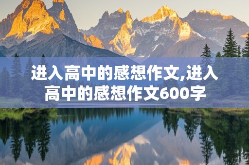 进入高中的感想作文,进入高中的感想作文600字