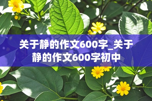 关于静的作文600字_关于静的作文600字初中