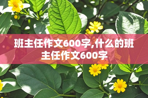 班主任作文600字,什么的班主任作文600字