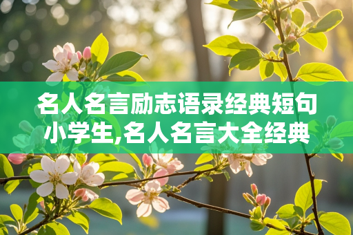 名人名言励志语录经典短句小学生,名人名言大全经典励志小学生归纳表