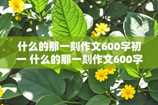 什么的那一刻作文600字初一 什么的那一刻作文600字初一细节描写