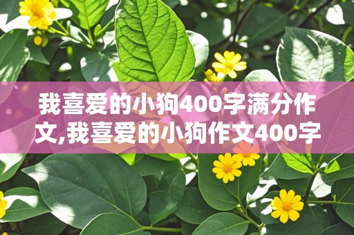 我喜爱的小狗400字满分作文,我喜爱的小狗作文400字左右