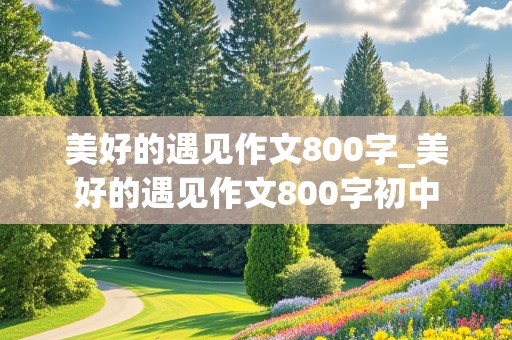 美好的遇见作文800字_美好的遇见作文800字初中