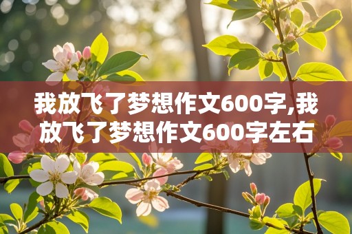 我放飞了梦想作文600字,我放飞了梦想作文600字左右