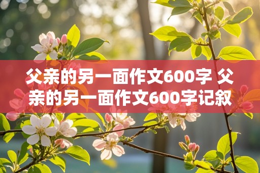 父亲的另一面作文600字 父亲的另一面作文600字记叙文