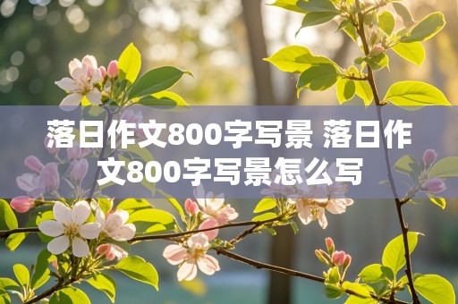 落日作文800字写景 落日作文800字写景怎么写