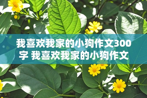 我喜欢我家的小狗作文300字 我喜欢我家的小狗作文300字三年级