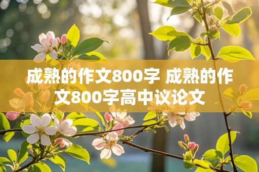 成熟的作文800字 成熟的作文800字高中议论文