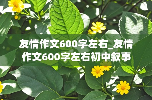 友情作文600字左右_友情作文600字左右初中叙事