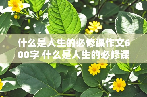 什么是人生的必修课作文600字 什么是人生的必修课作文600字初中