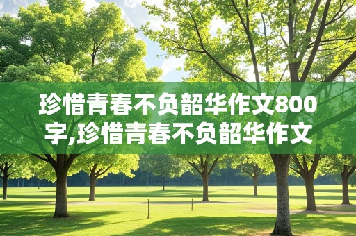 珍惜青春不负韶华作文800字,珍惜青春不负韶华作文800字议论文