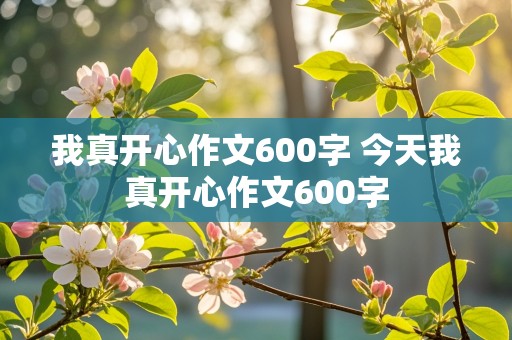 我真开心作文600字 今天我真开心作文600字