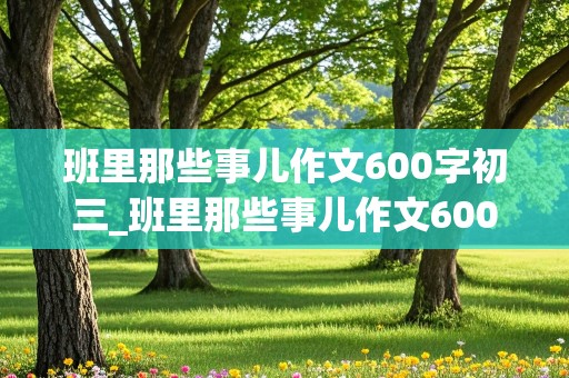 班里那些事儿作文600字初三_班里那些事儿作文600字初三