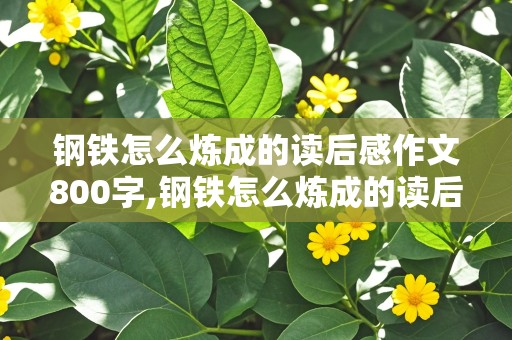 钢铁怎么炼成的读后感作文800字,钢铁怎么炼成的读后感作文800字,人民教育出版社