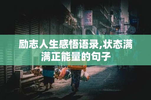 励志人生感悟语录,状态满满正能量的句子